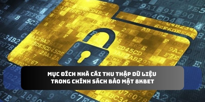 Mục đích nhà cái thu thập dữ liệu trong chính sách bảo mật 8KBET